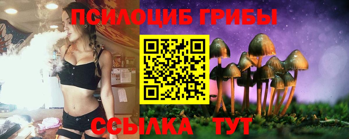 Галлюциногенные грибы MAGIC MUSHROOMS Волоколамск