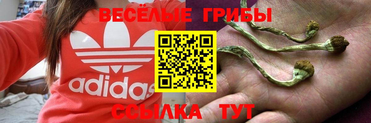 Псилоцибиновые грибы Magic Shrooms  Вход с VPN  купить наркотик  Волоколамск  Псилоцибиновые грибы Cubensis 